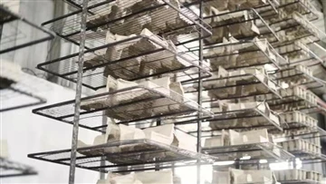 CSL iegulda veidotā{0}}šķiedru infrastruktūrā vienreizējai-iepakojuma lietoju...